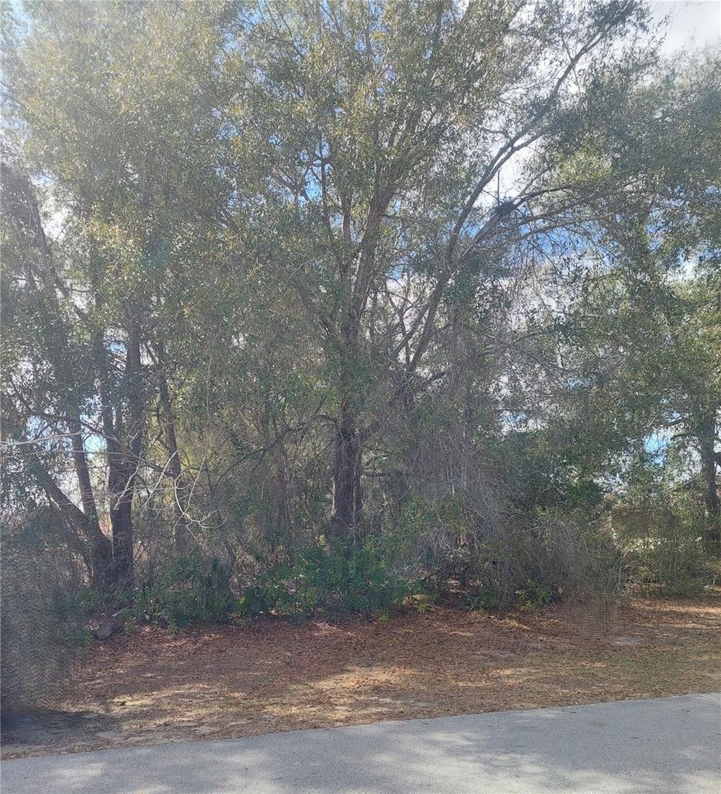 Photo of 00 SW 28 Terrace Road, Ocala, FL 34473 (MLS # OM719028)