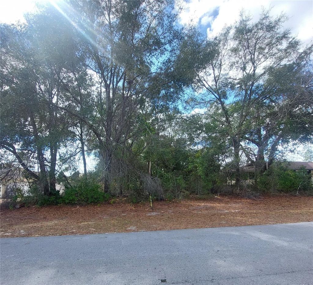 Photo of 00 SW 28 Terrace Road, Ocala, FL 34473 (MLS # OM719028)