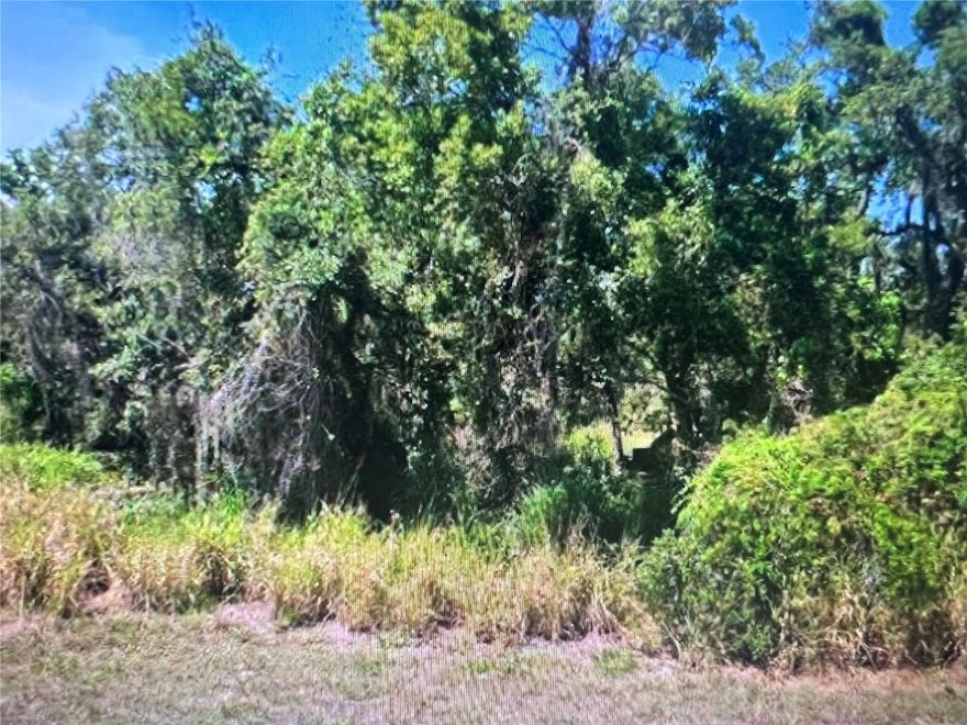 Build your Florida retreat on this unimproved vacant lot located at 105 Jamison Avenue in Lake Placid. Nestled in a quiet, developing area, this property offers a great opportunity for investors, builders, or buyers looking to create a custom home, seasonal getaway, or long-term hold.

This parcel provides a peaceful setting surrounded by natural Florida beauty while still offering convenient access to nearby shopping, dining, schools, and everyday essentials. Lake Placid is known as the “Town of Murals” and is famous for its charming small-town atmosphere, beautiful lakes, and outdoor recreation opportunities including fishing, boating, and golfing.

Whether you're looking to build now or invest for the future, this lot offers flexibility and potential with no existing structures to remove and no HOA restrictions to limit your vision (buyer to verify land use, utilities, and building requirements).

Conveniently located with easy access to major roadways, this property is just a short drive to downtown Lake Placid, local parks, and the area's many freshwater lakes. Enjoy the tranquility of Central Florida living while remaining within reach of larger cities and amenities.

Don’t miss this opportunity to own affordable Florida land and bring your vision to life.