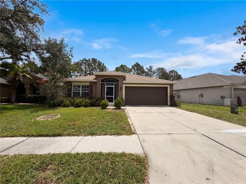 Photo of 575 Sea Holly Drive, Brooksville, FL 34604 (MLS # O6412598)