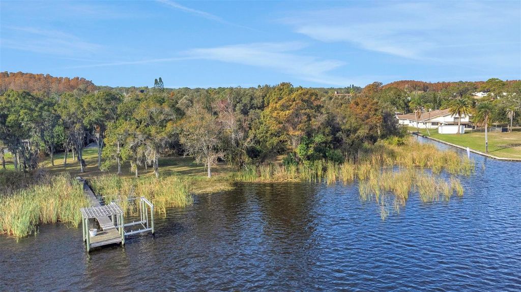 Photo of 2661 Cyprus Drive, Palm Harbor, FL 34684 (MLS # TB8458877)