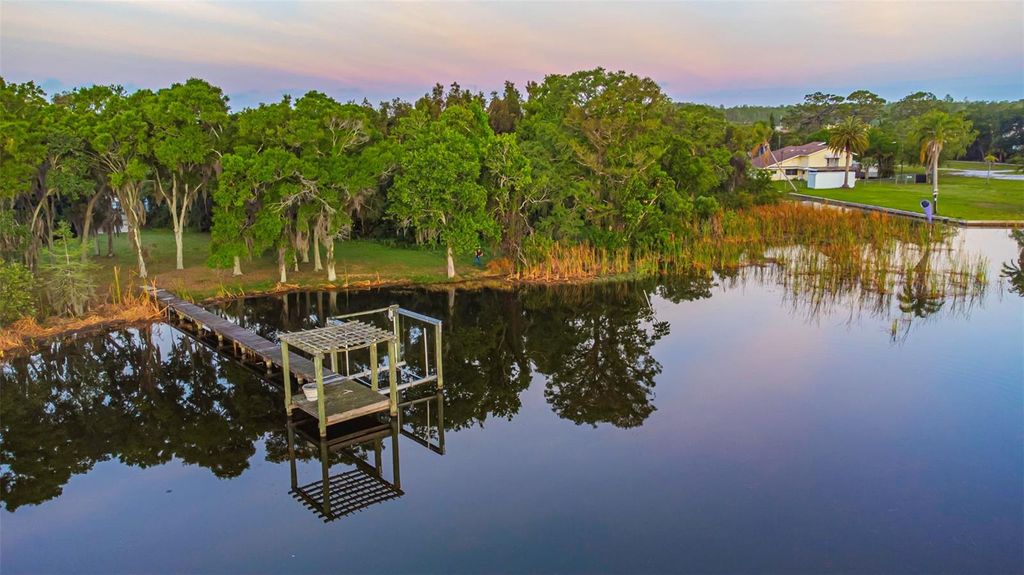 Photo of 2661 Cyprus Drive, Palm Harbor, FL 34684 (MLS # TB8458877)