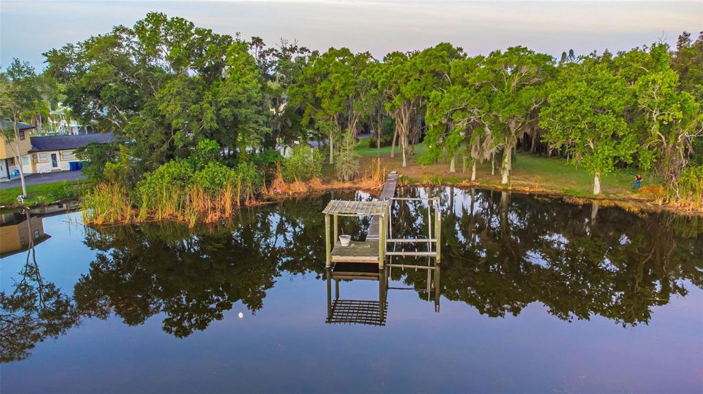 Photo of 2661 Cyprus Drive, Palm Harbor, FL 34684 (MLS # TB8458877)