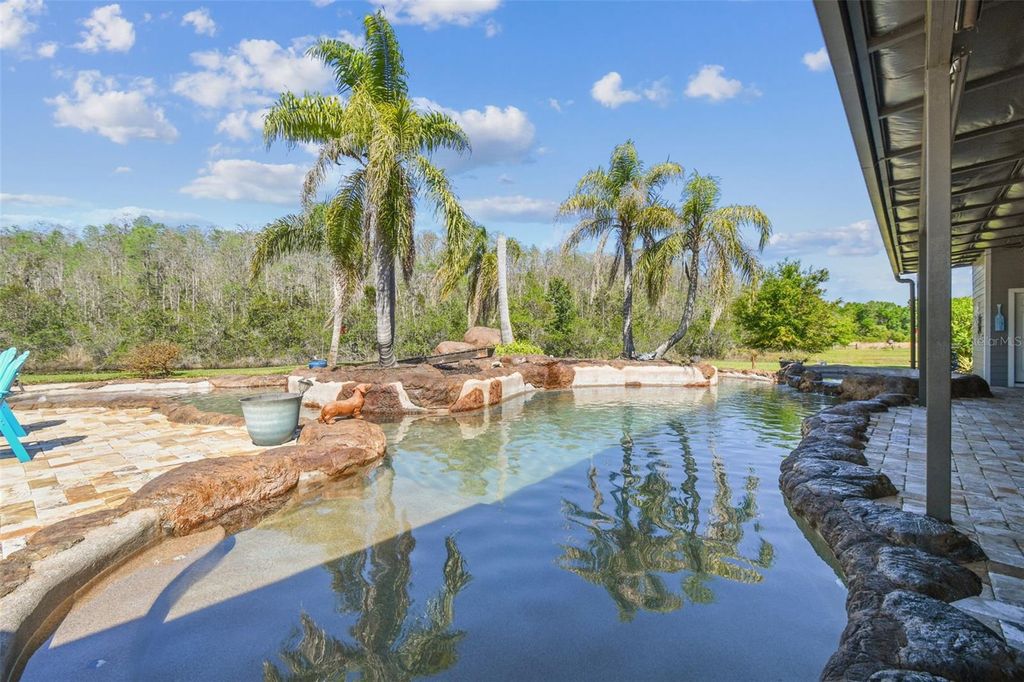 Photo of 19530 Barrie Acres Trail, Odessa, FL 33556 (MLS # TB8363765)