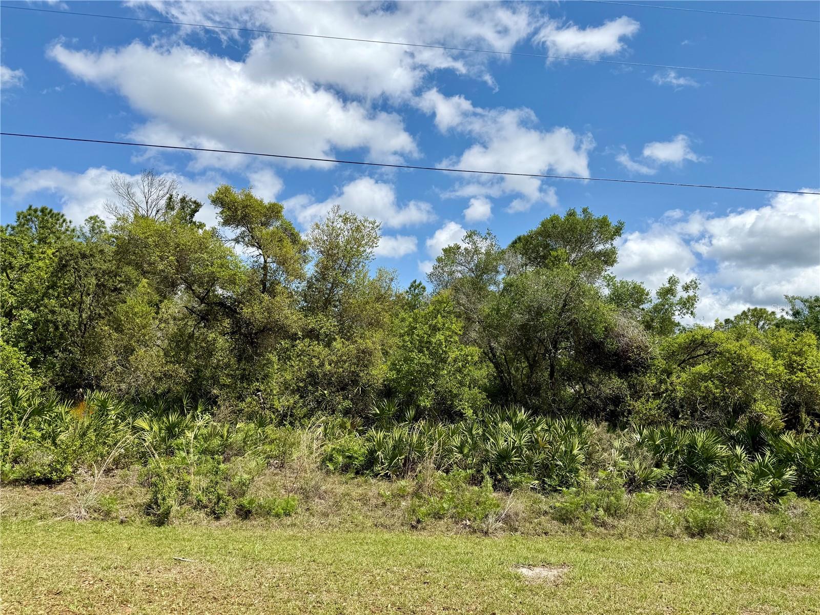 1 Acre for sale in Equestrian Royal Trails Subdivision. There is no time limit to build, bring your own builder. The minimum square footage is 1,200, once you build, you may park your RV and boat. The parcel measure 150 x 304, as always, it is recommended to get a survey for accurate dimension. There is plenty of room for a pool and possibly a storage building. The Subdivision has a community building with playground with many activities through the year. Deeded access to Lake Norris and Lake Marion within the community, the HOA is $92.00 annually. Many miles of County maintain roads to jog or ride a bike. Come drive by and make it your next Florida building site. Deed Restrictions does not allow mobile, modular, barn dominium nor manufactured homes to be built. The zoning allows 2 horses an acre.