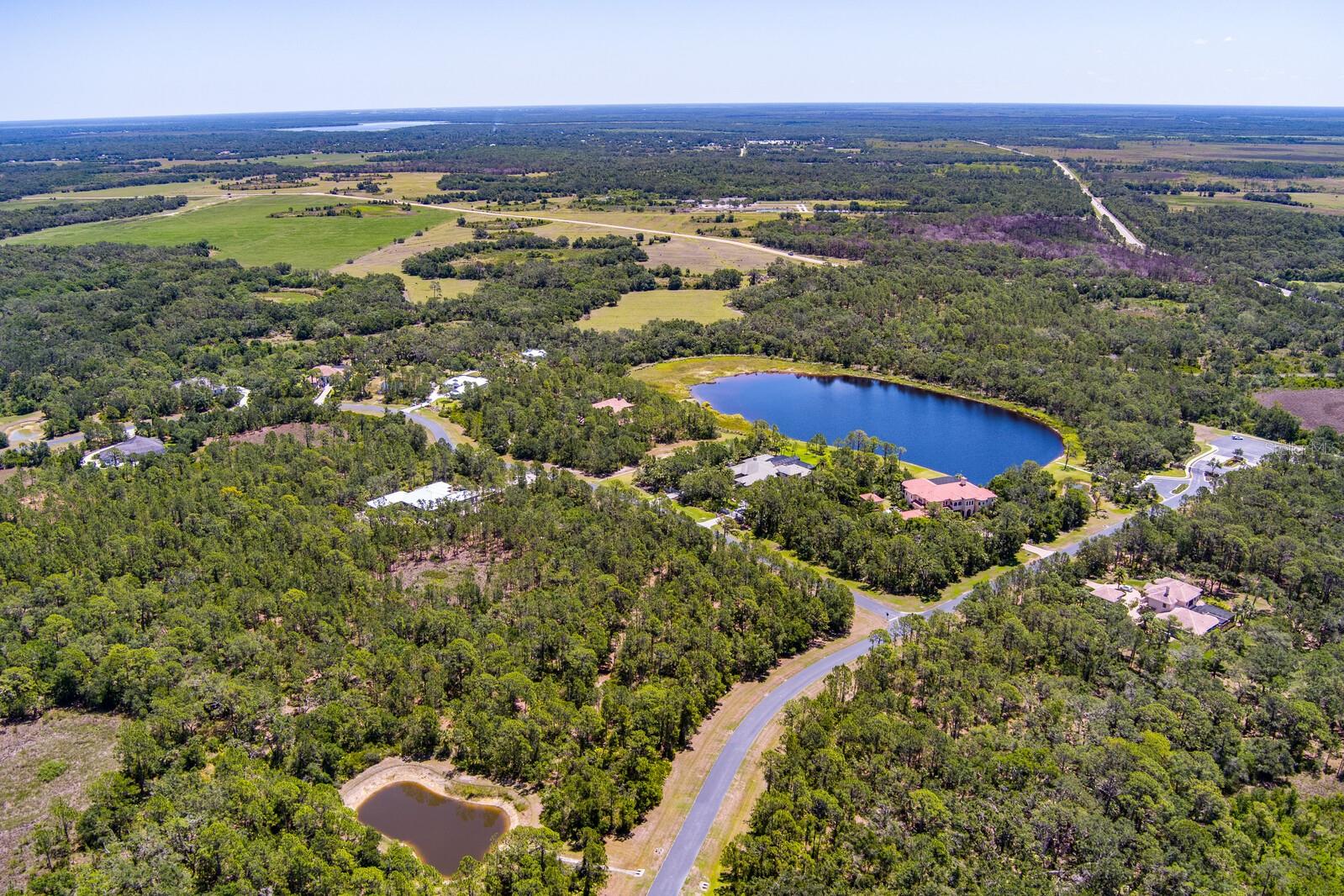 FOREST AT THE HI HAT RANCH - Land