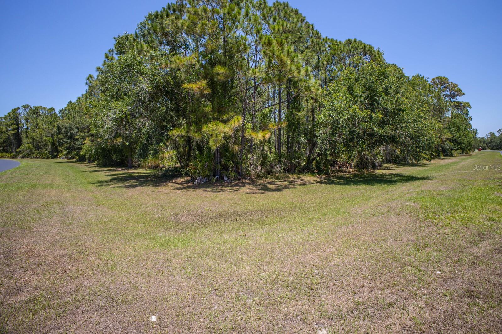 FOREST AT THE HI HAT RANCH - Land