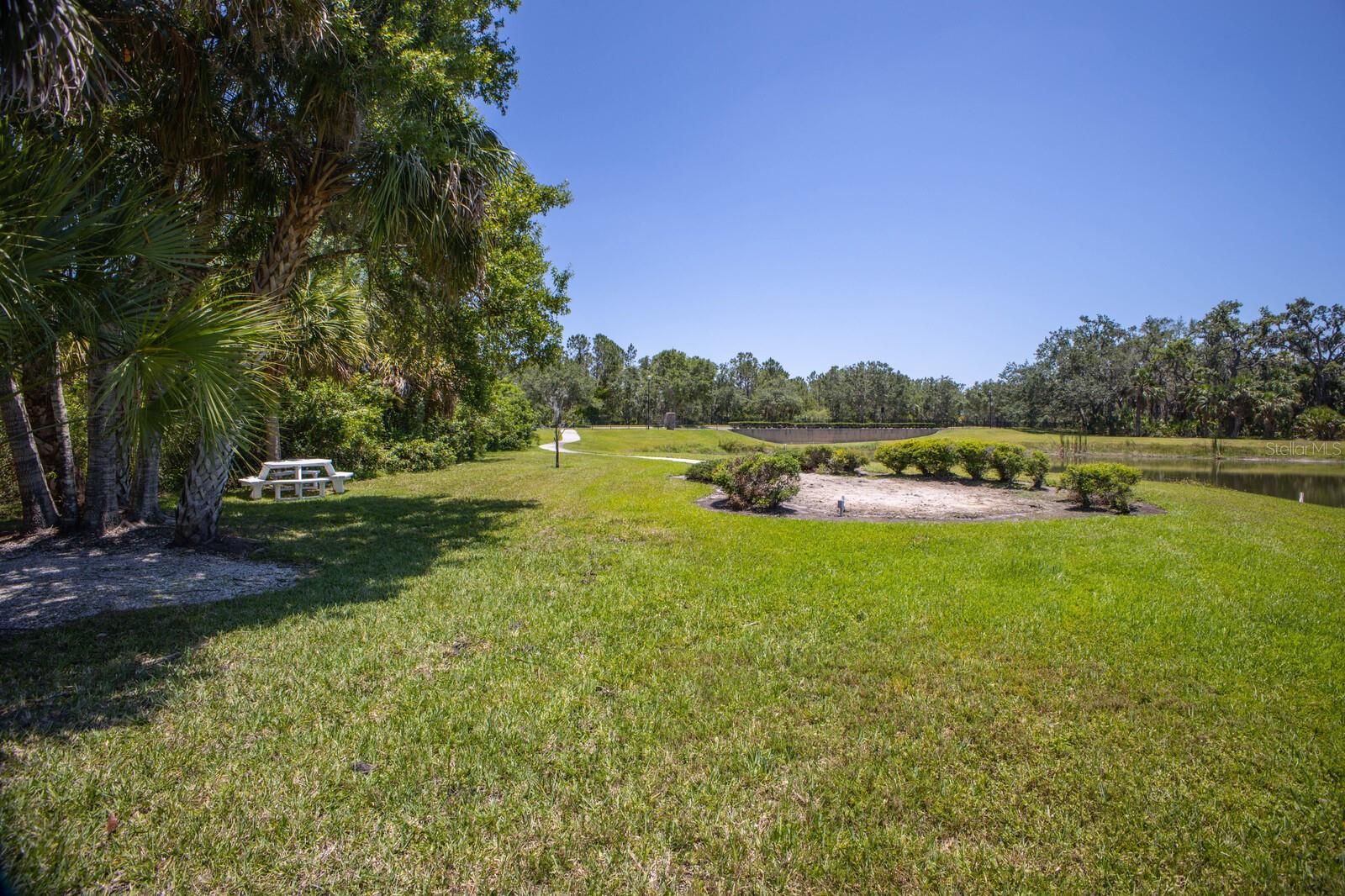 FOREST AT THE HI HAT RANCH - Land