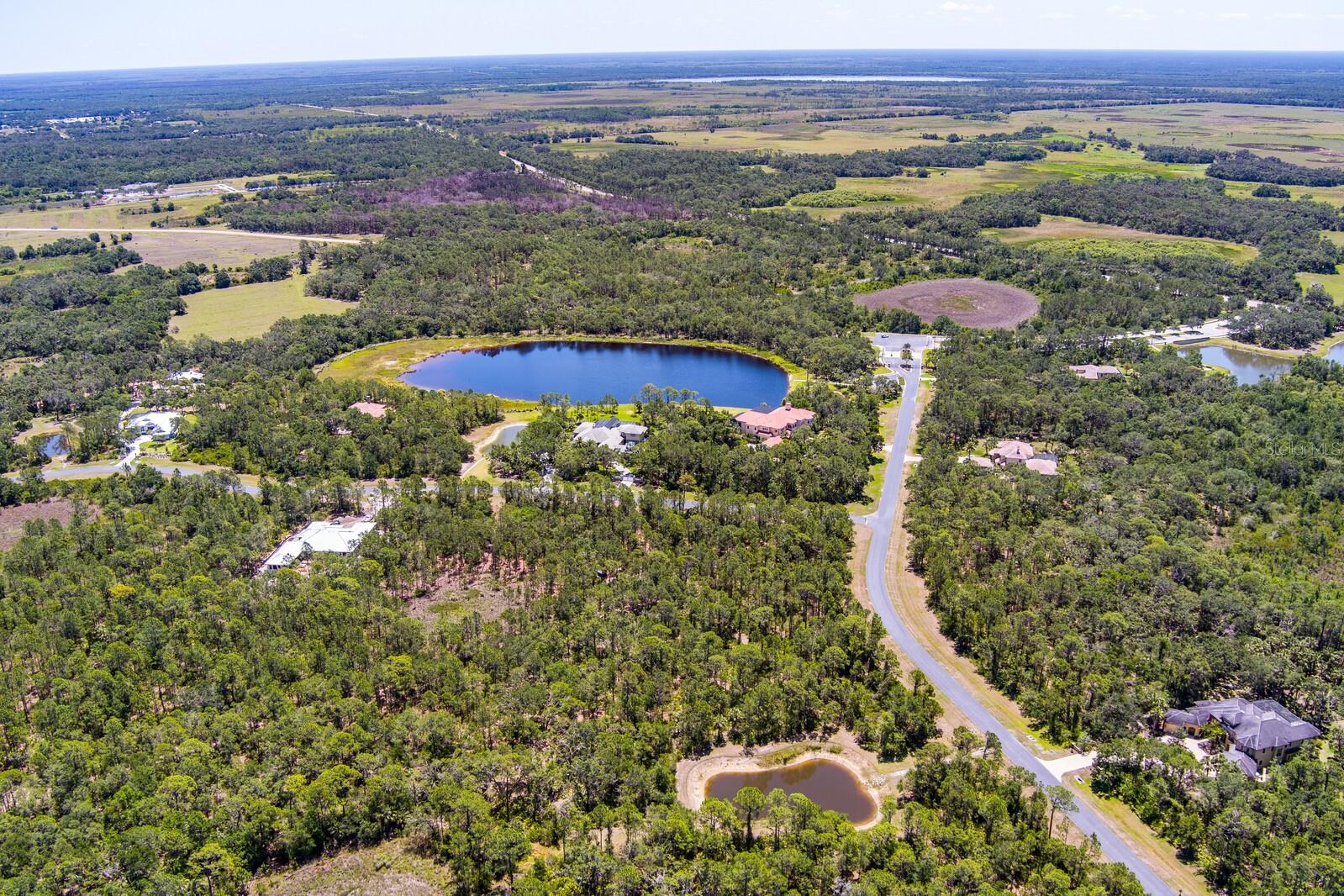 FOREST AT THE HI HAT RANCH - Land