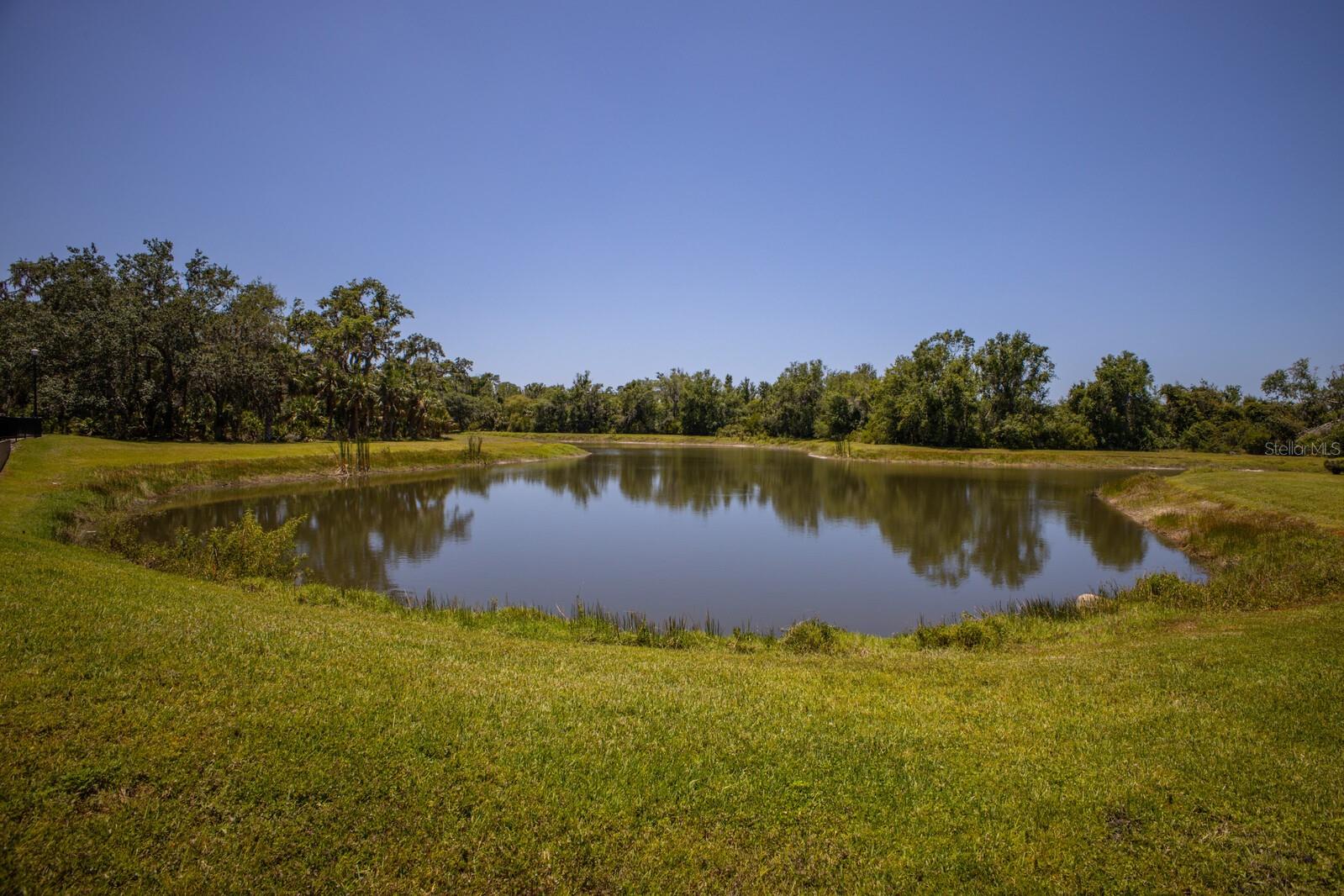 FOREST AT THE HI HAT RANCH - Land
