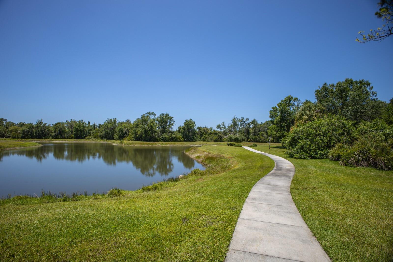 FOREST AT THE HI HAT RANCH - Land