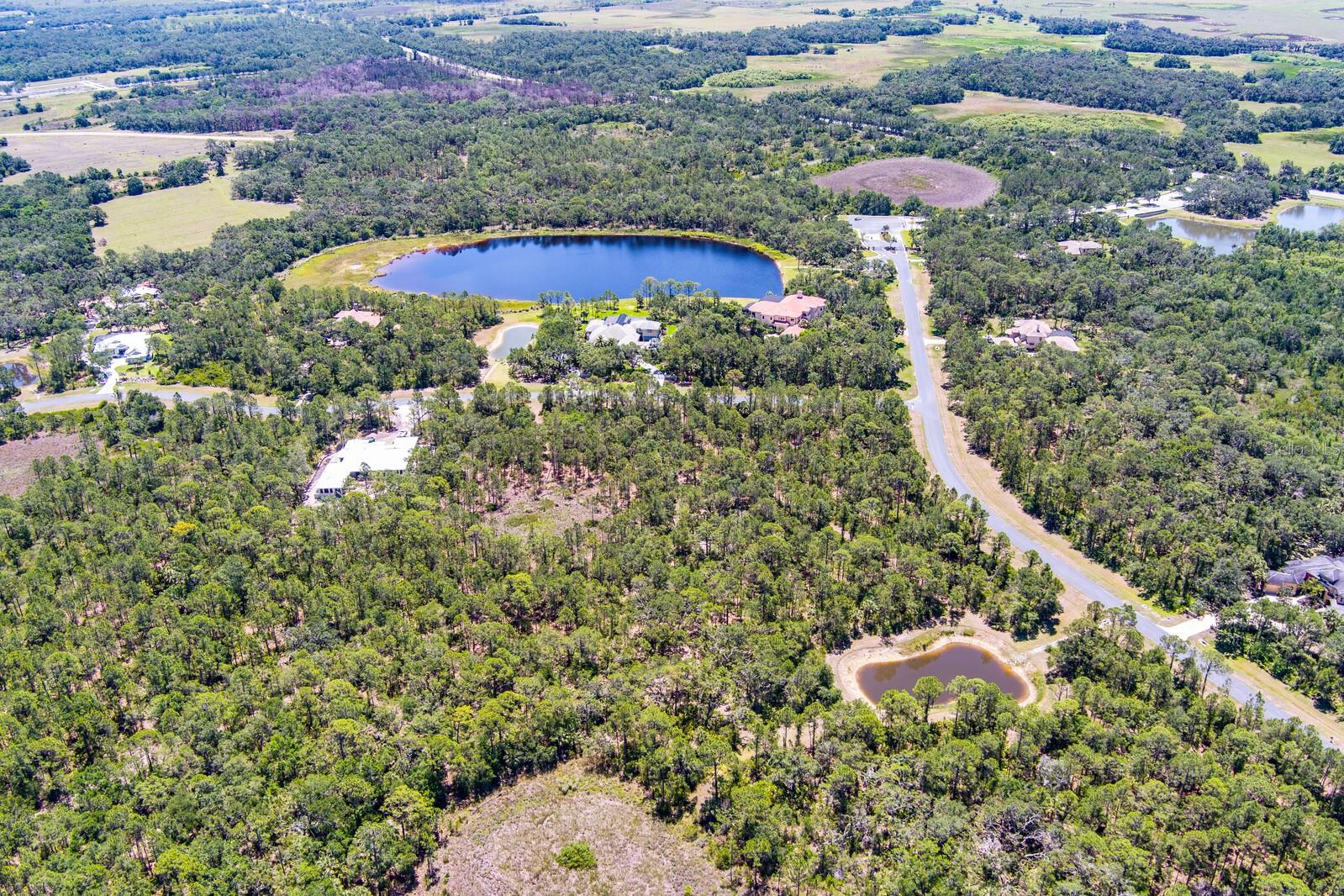 FOREST AT THE HI HAT RANCH - Land