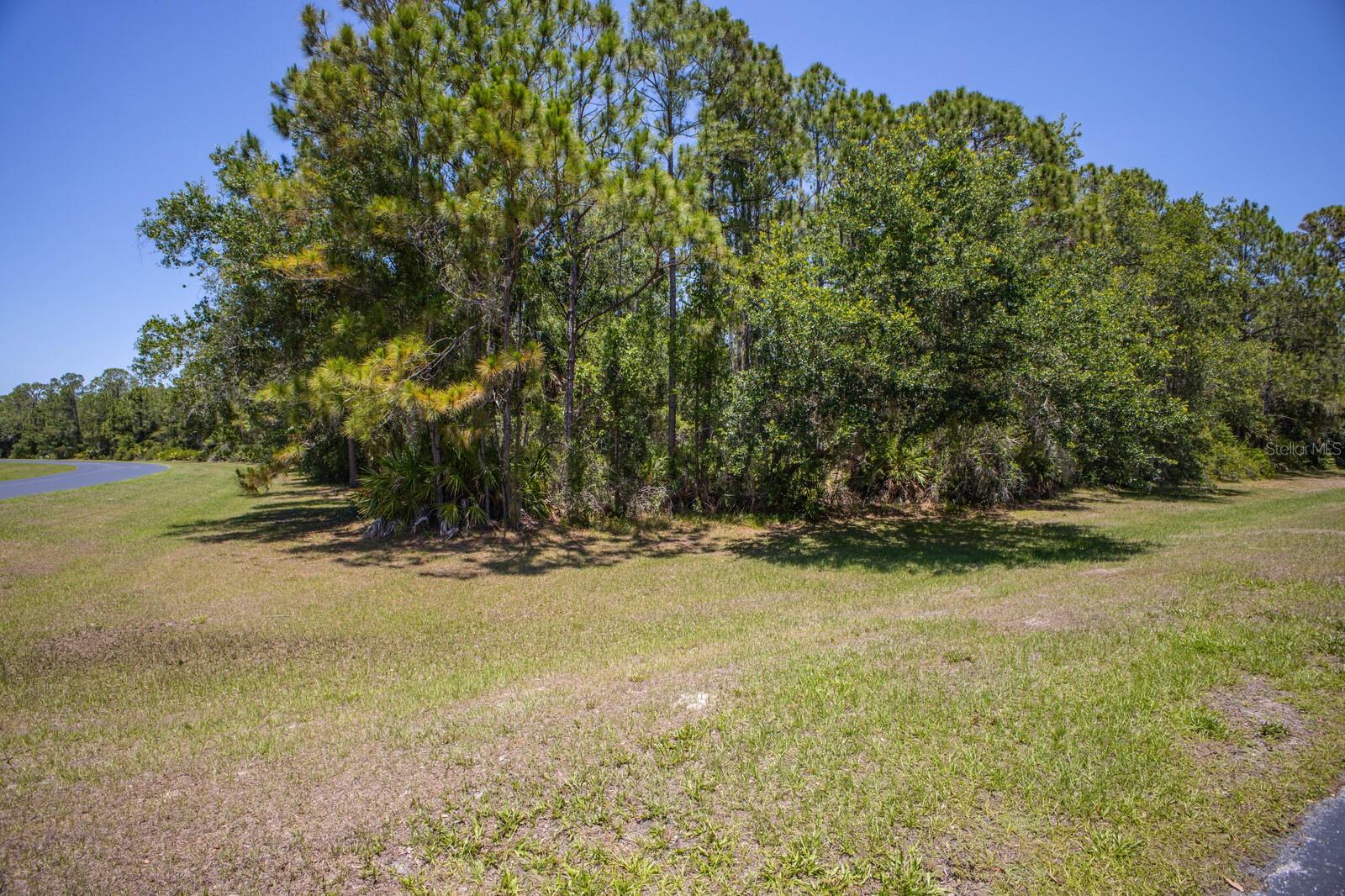 FOREST AT THE HI HAT RANCH - Land