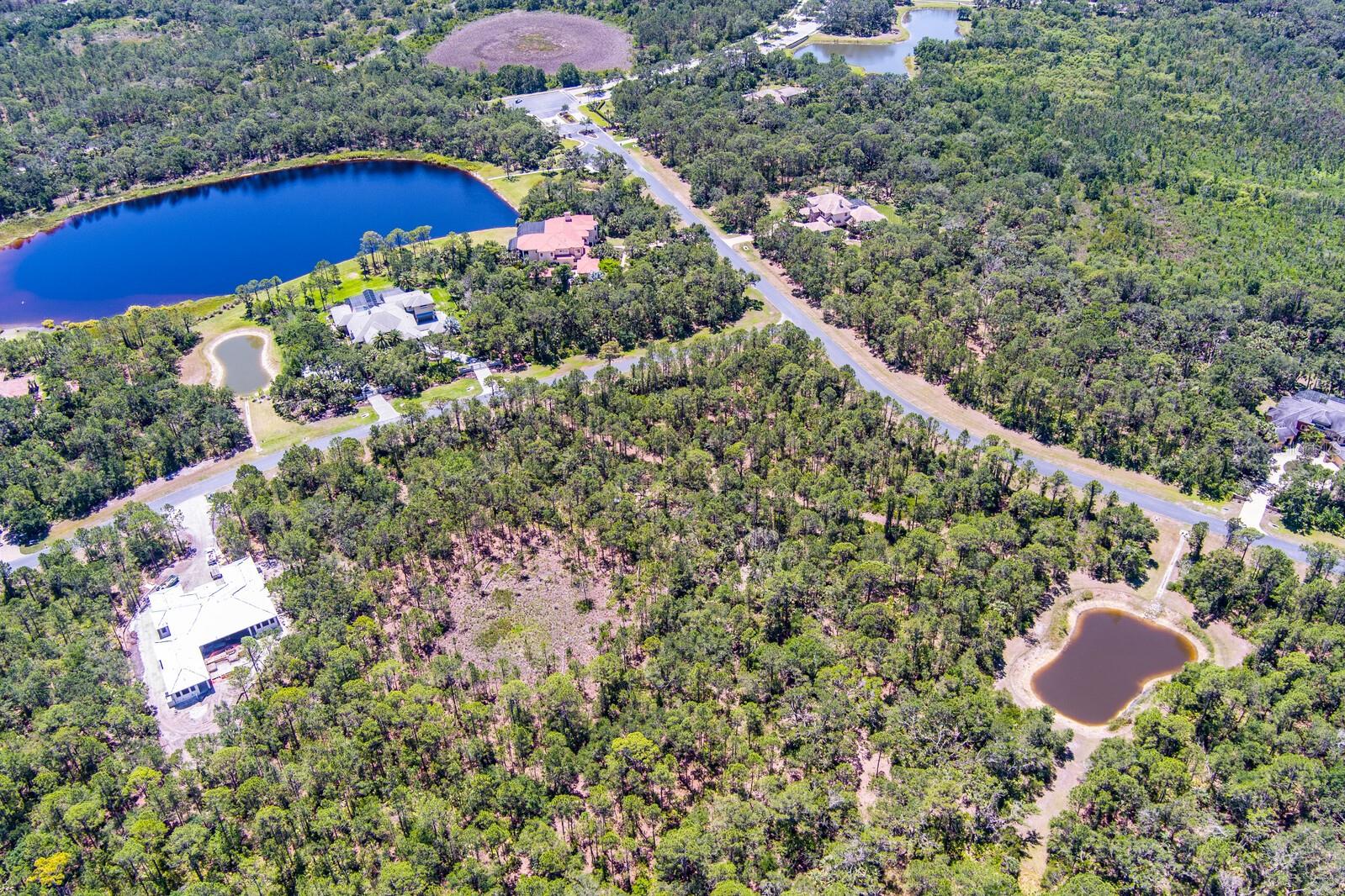 FOREST AT THE HI HAT RANCH - Land