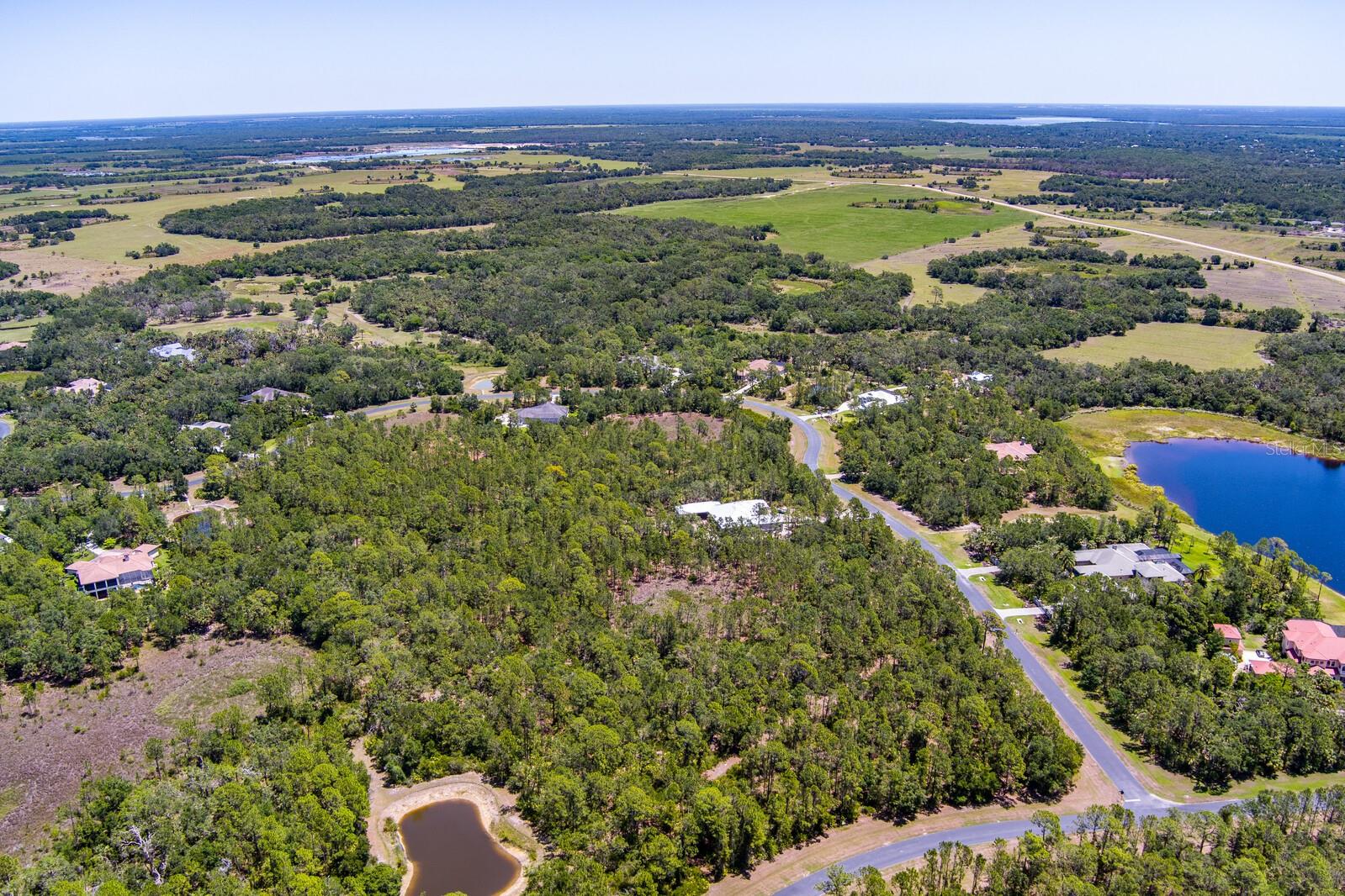 FOREST AT THE HI HAT RANCH - Land