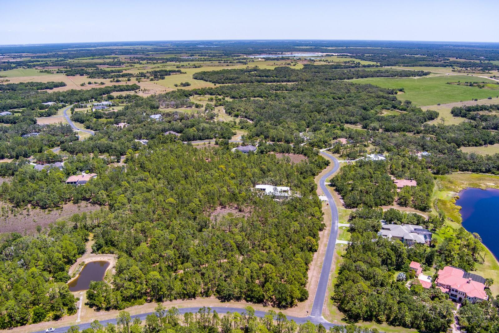 FOREST AT THE HI HAT RANCH - Land