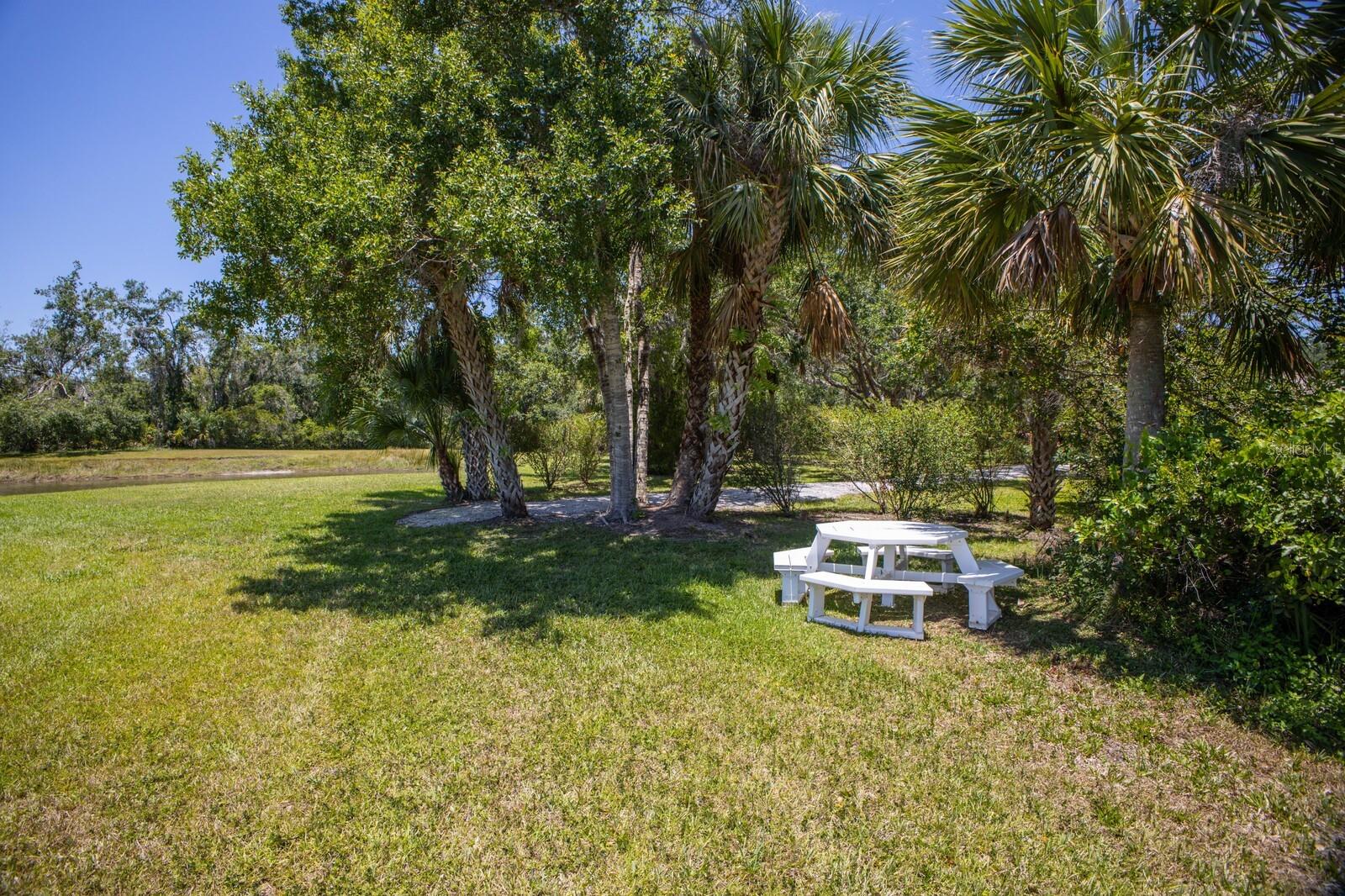 FOREST AT THE HI HAT RANCH - Land