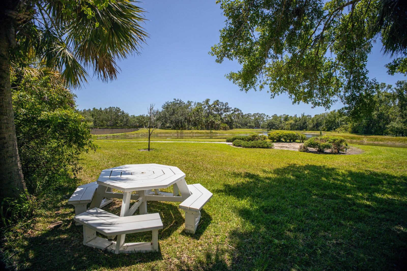 FOREST AT THE HI HAT RANCH - Land