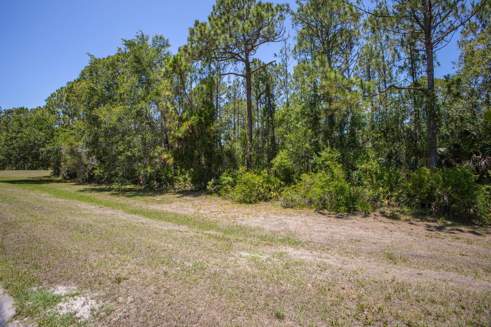 FOREST AT THE HI HAT RANCH - Land