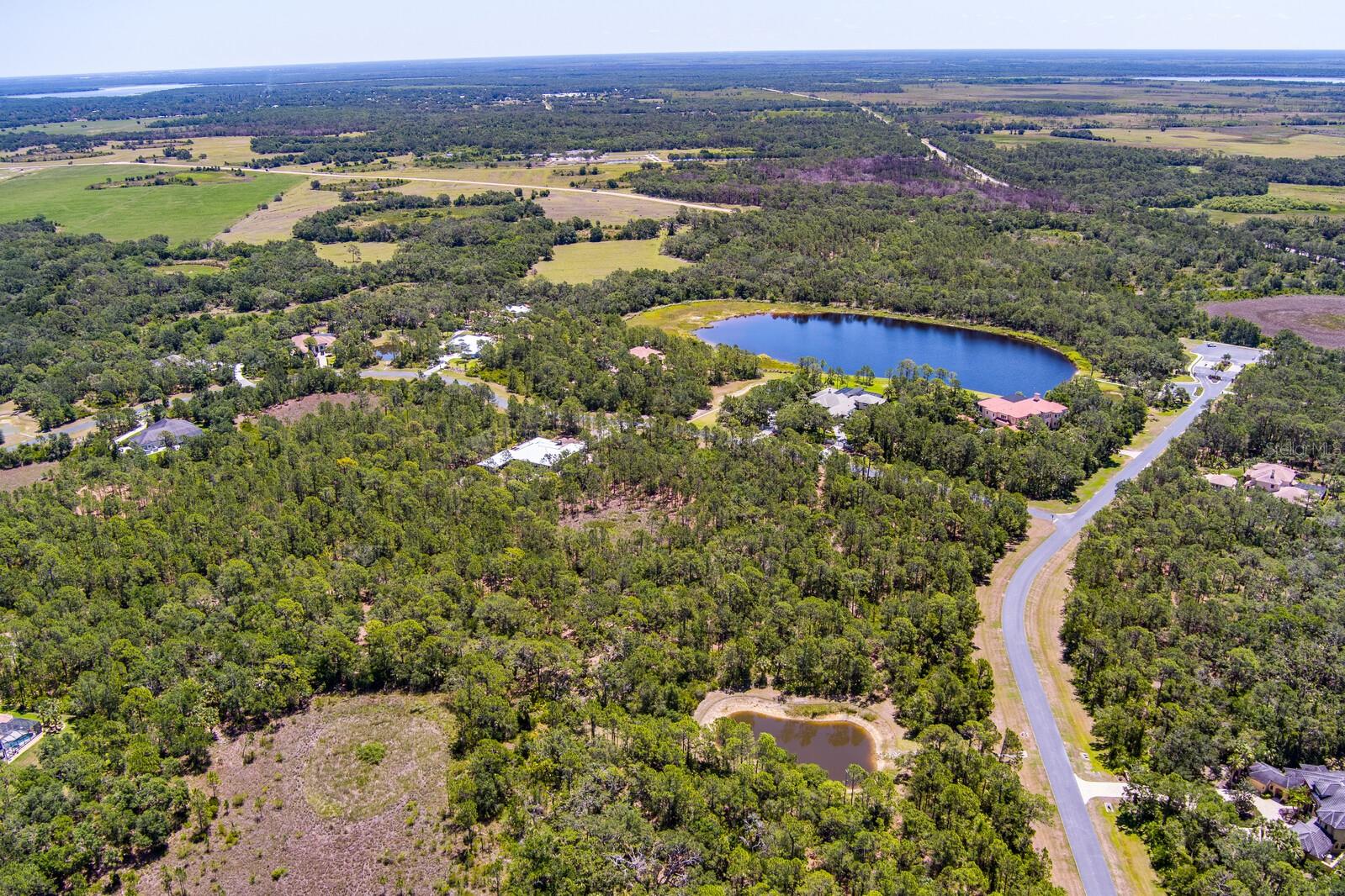 FOREST AT THE HI HAT RANCH - Land