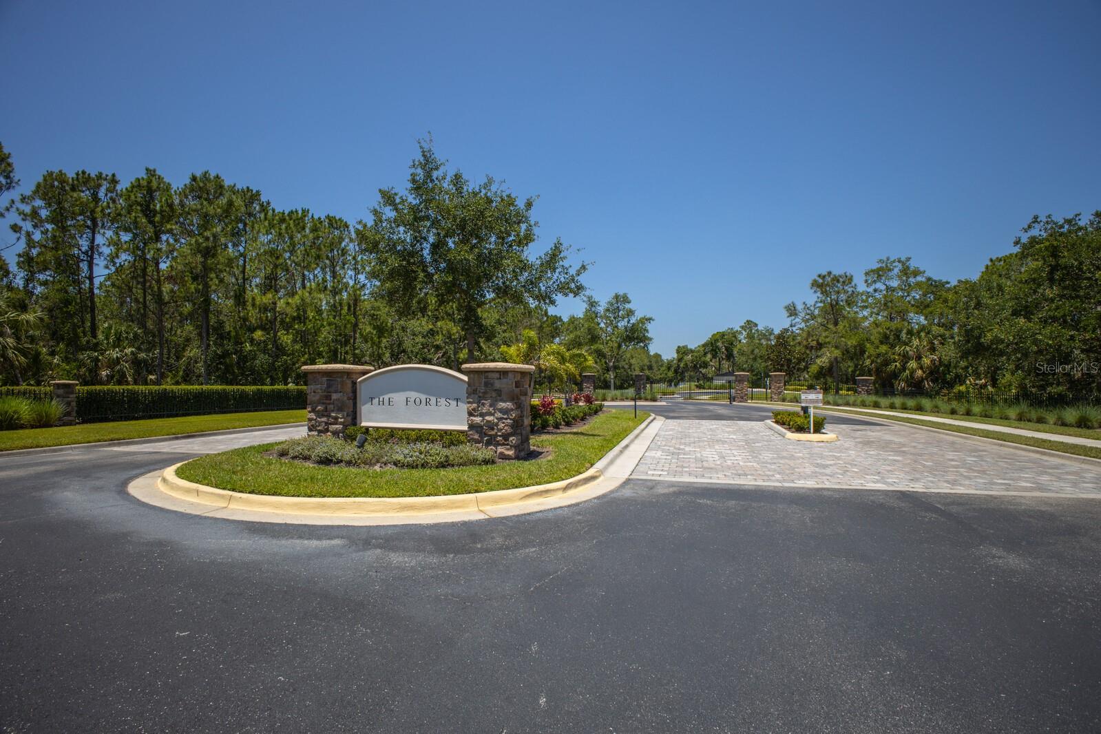 FOREST AT THE HI HAT RANCH - Land