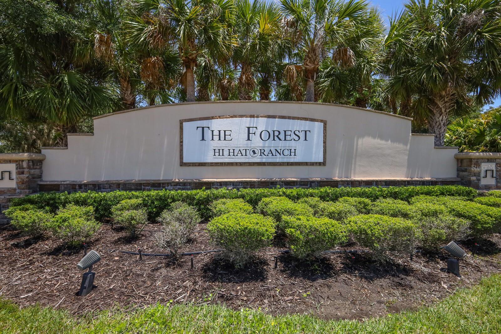 FOREST AT THE HI HAT RANCH - Land