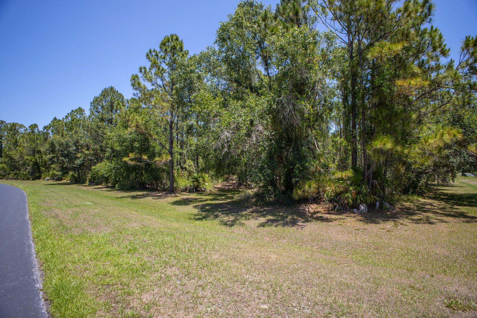 FOREST AT THE HI HAT RANCH - Land