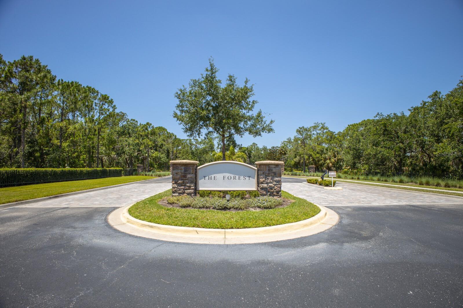 FOREST AT THE HI HAT RANCH - Land