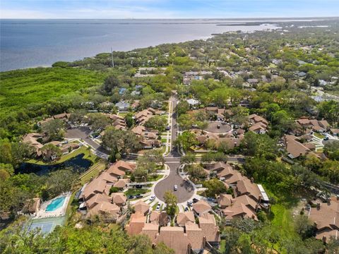 A home in SAFETY HARBOR