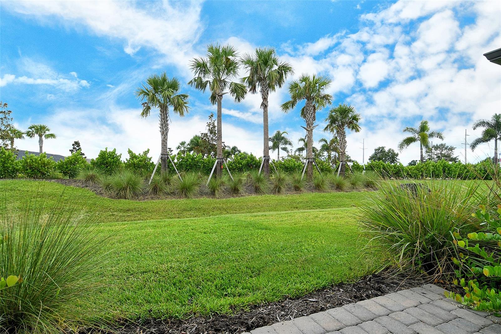 AVANTI/WATERSIDE - Residential