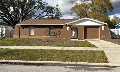 A home in VALRICO