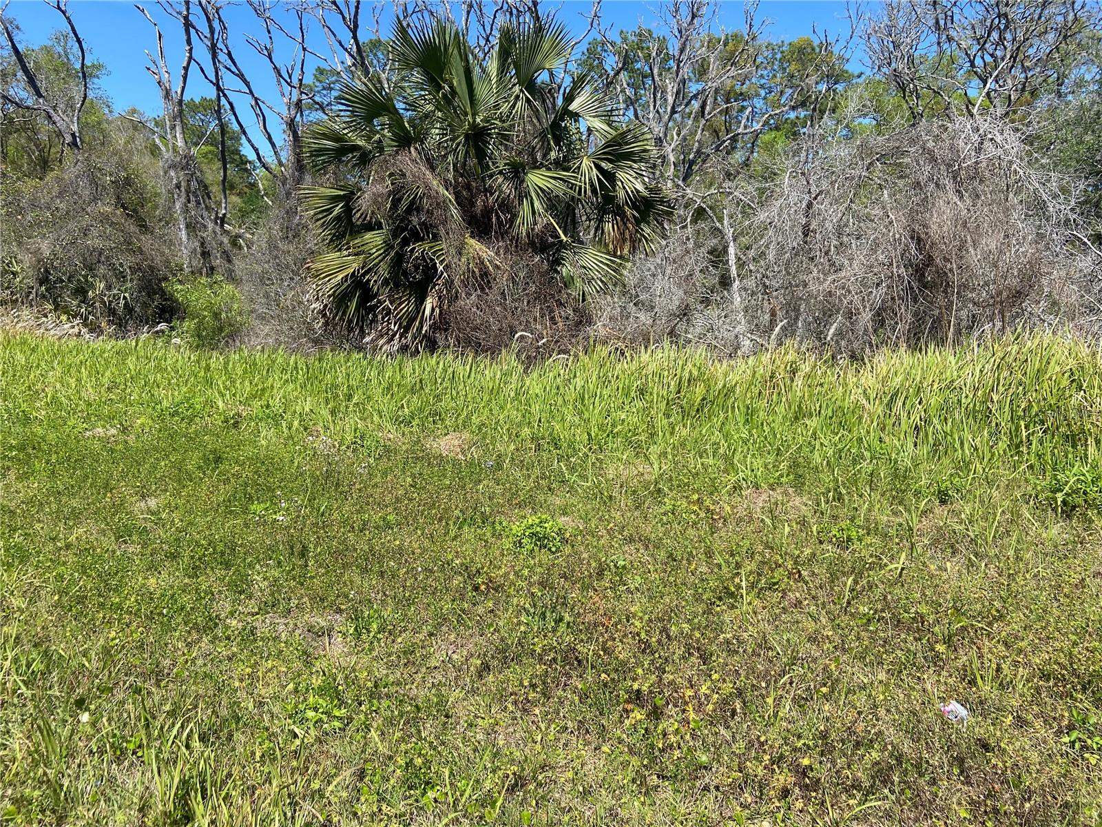 PARCEL 27 15 30 00 00 0160