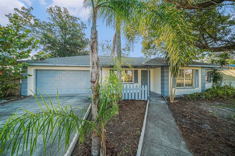 A home in LAND O LAKES