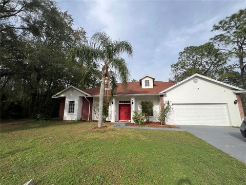 A home in LAND O LAKES