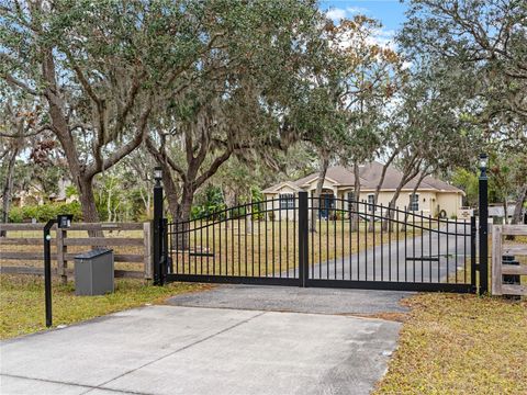 A home in MYAKKA CITY