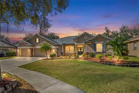 15321 VIREOGLEN LANE LITHIA FL 33547