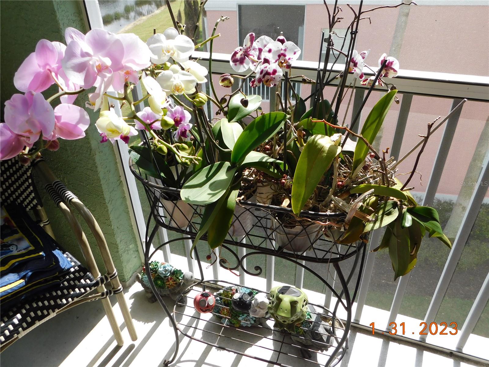 LAKE VIEW CONDO AT HERITAGE - Residential