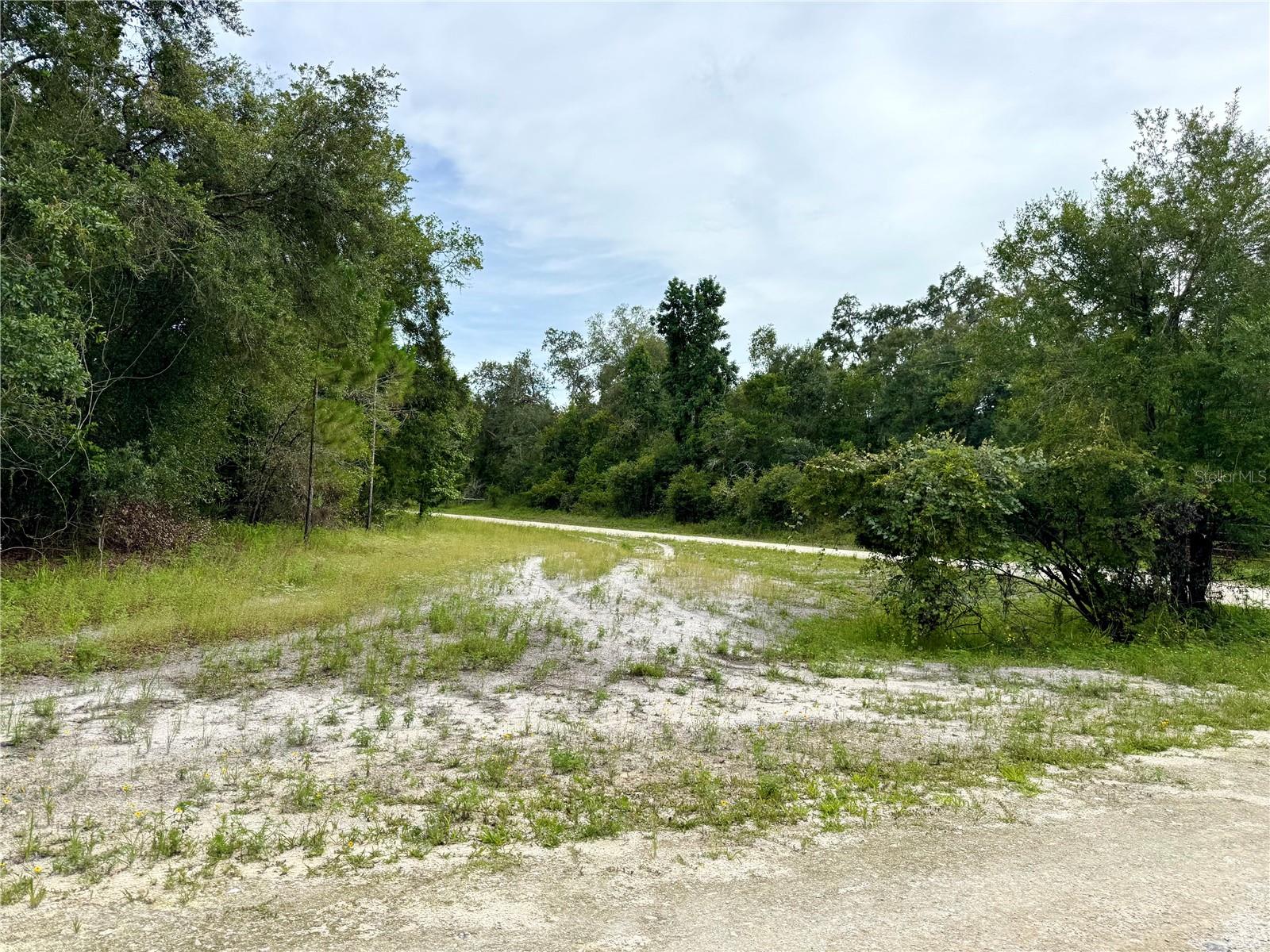 RIDGE MANOR ESTATE - Land