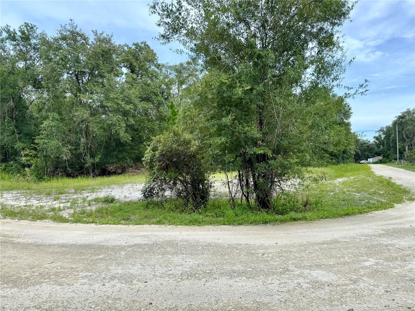 Residential vacant lot zoned for single-family homes near the Withlacoochee River and just a few feet from a paved road. Enjoy the tranquillity of a secluded neighbourhood ideal for nature lovers and outdoor enthusiasts. Easy access to major roads like I-75, US-301 and SR-50. Clermont, Tampa and Ocala are about 1h drive.
All information provided is deemed reliable, but is not guaranteed and should be verified by buyers and their agents