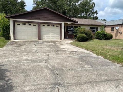 Photo of 12314 Virginia Drive, Leesburg, FL 34788 (MLS # O6281571)