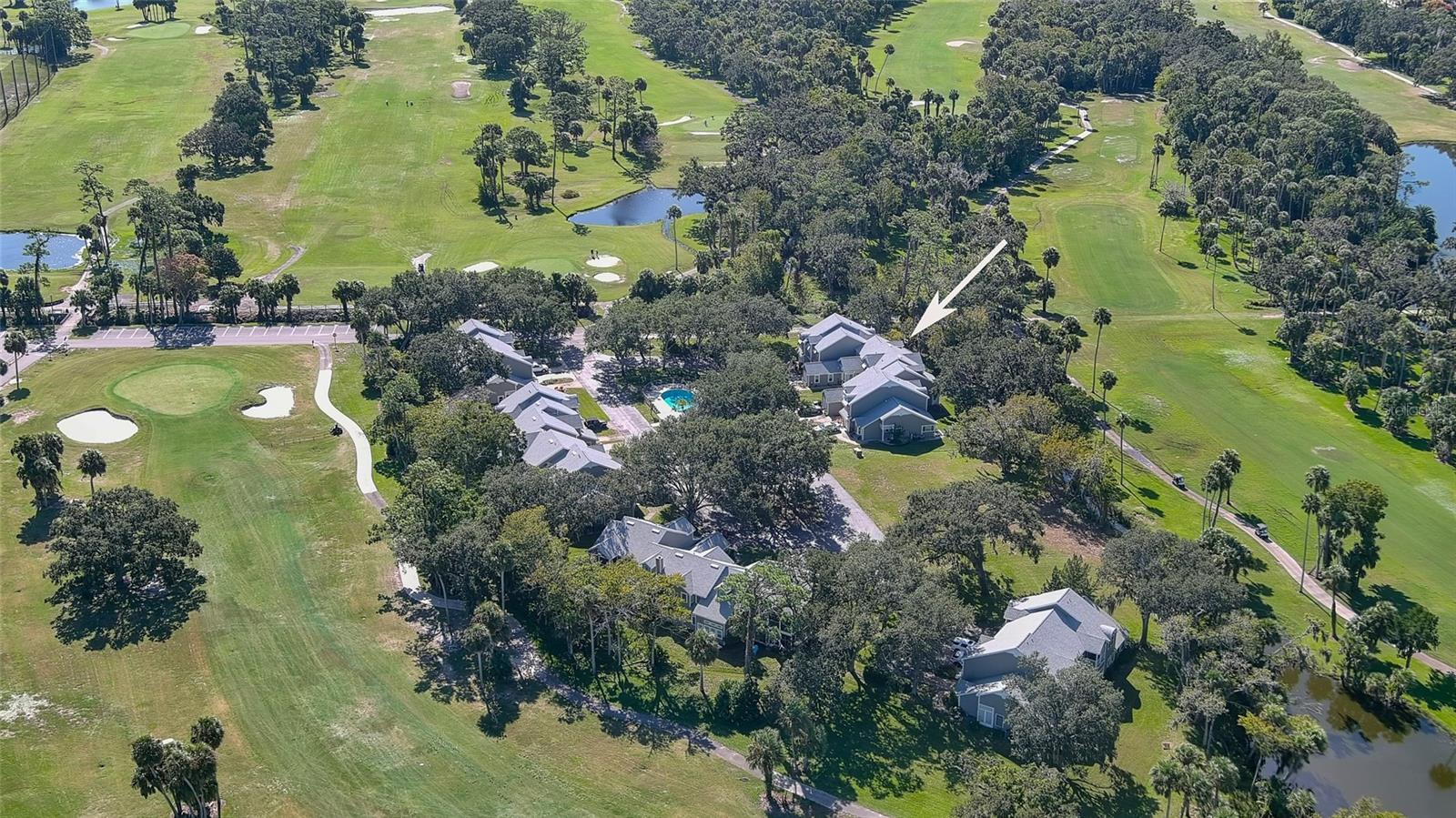 LIVE OAK CONDO - Residential