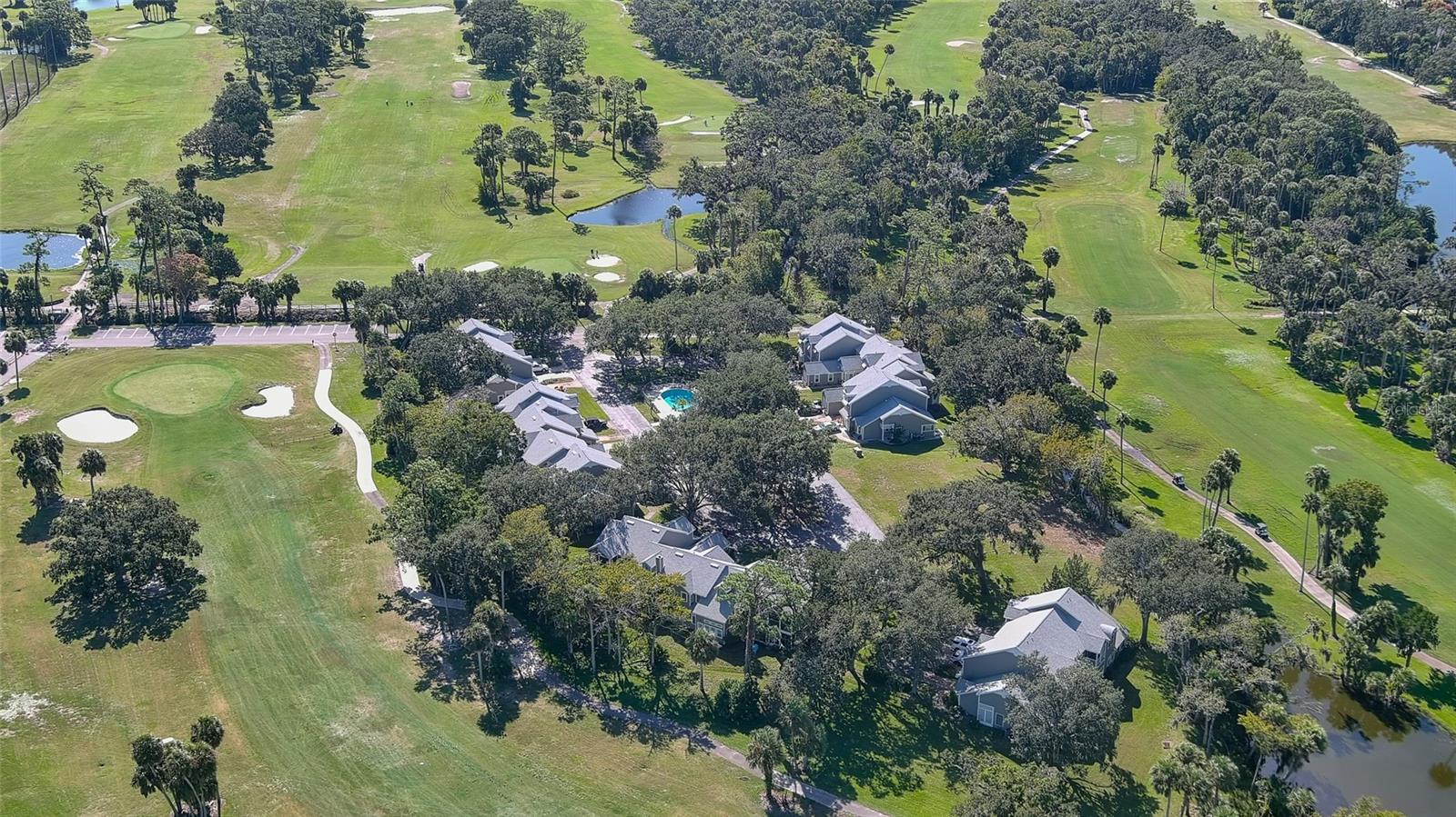 LIVE OAK CONDO - Residential