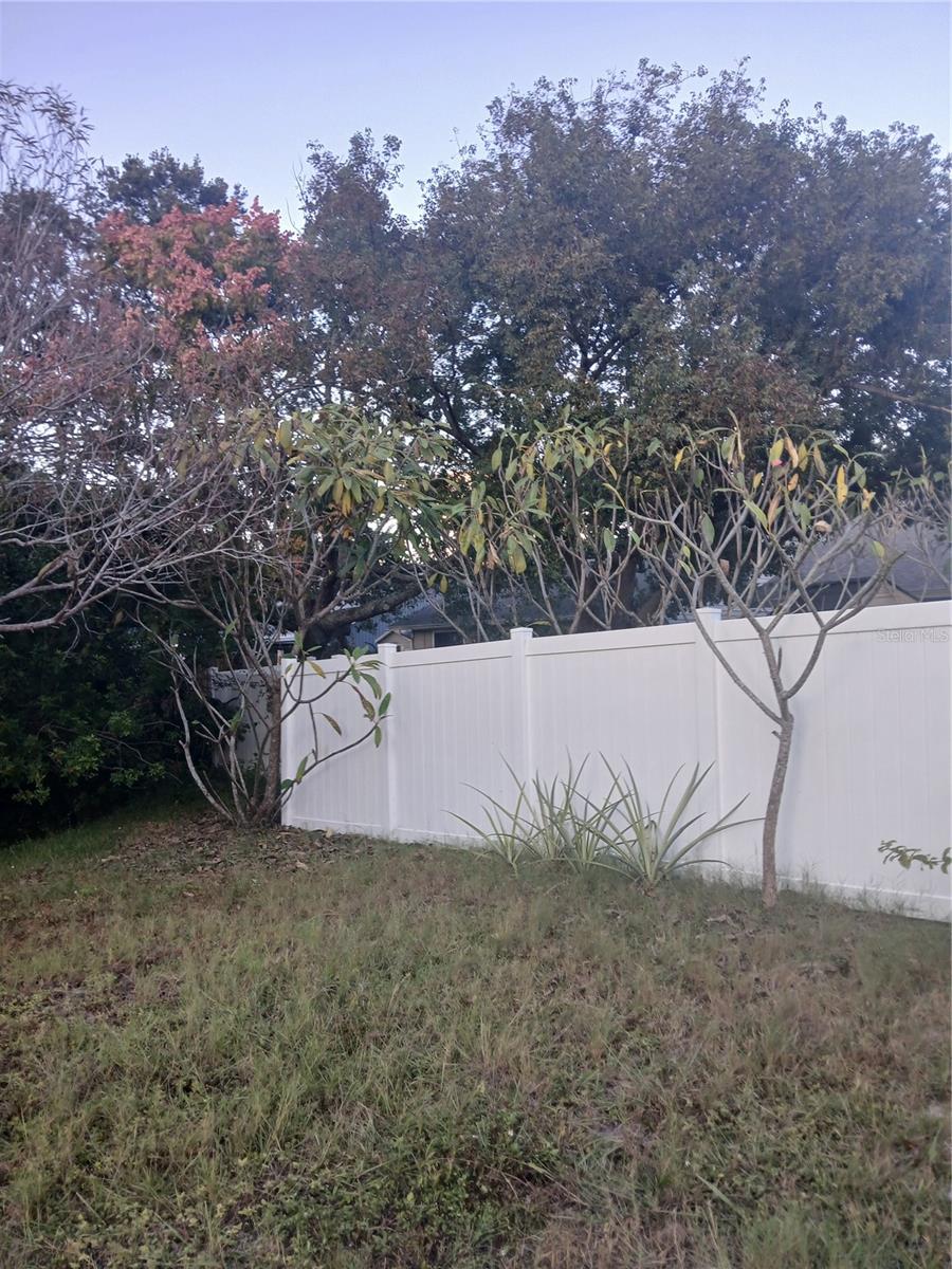 TALL PINES ESTATES PH IV - Residential Lease