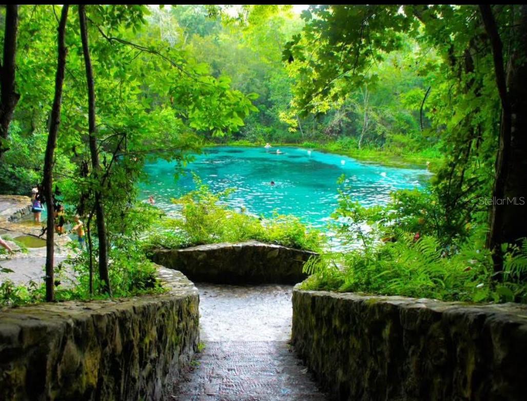 LAUREL FARMS - Residential