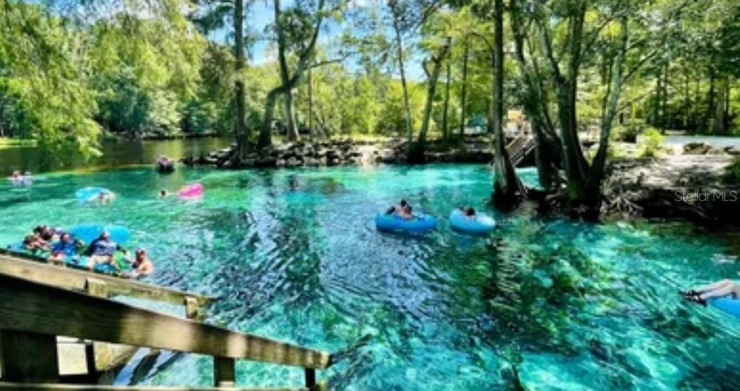 LAUREL FARMS - Residential