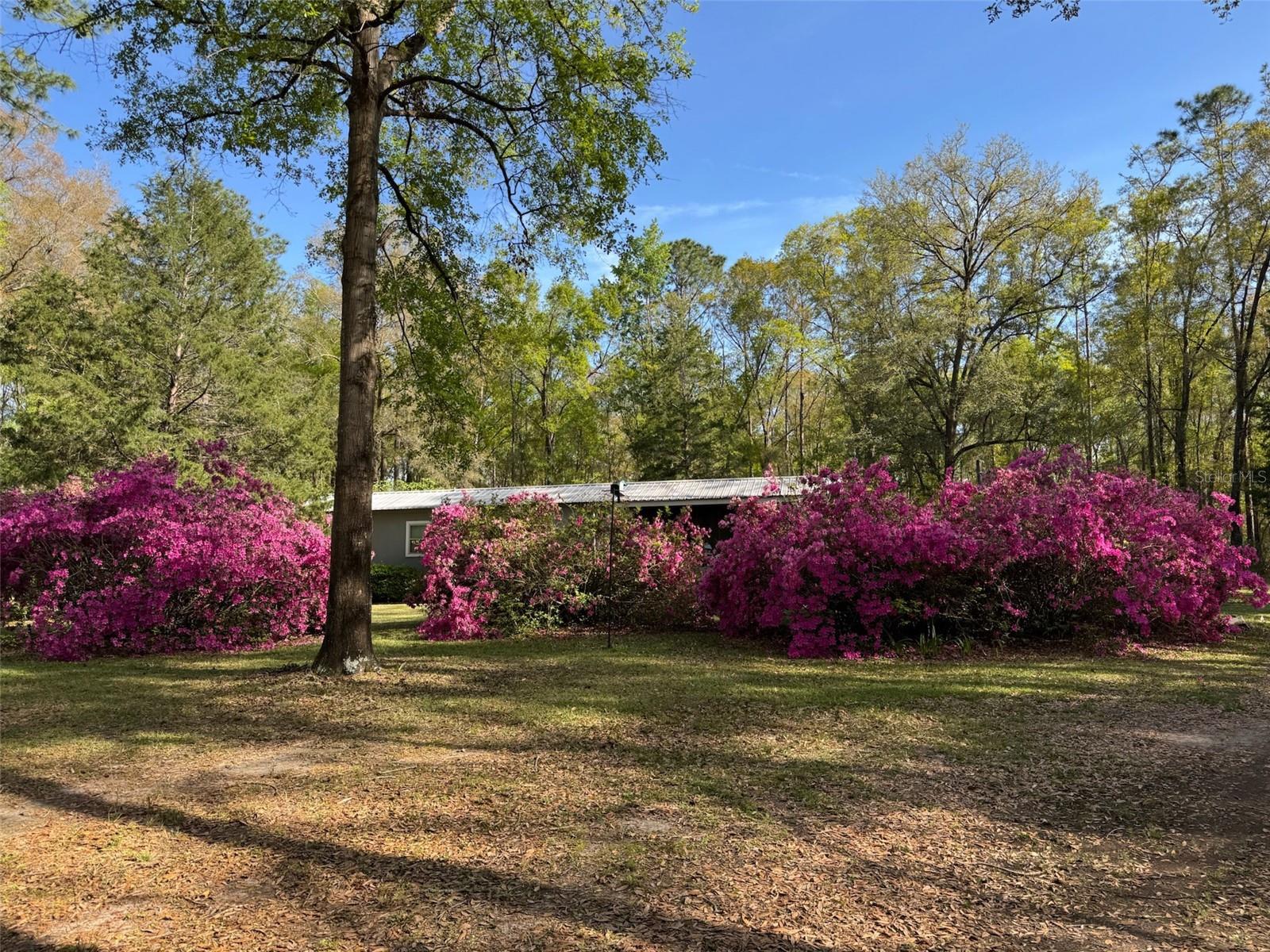 LAUREL FARMS - Residential