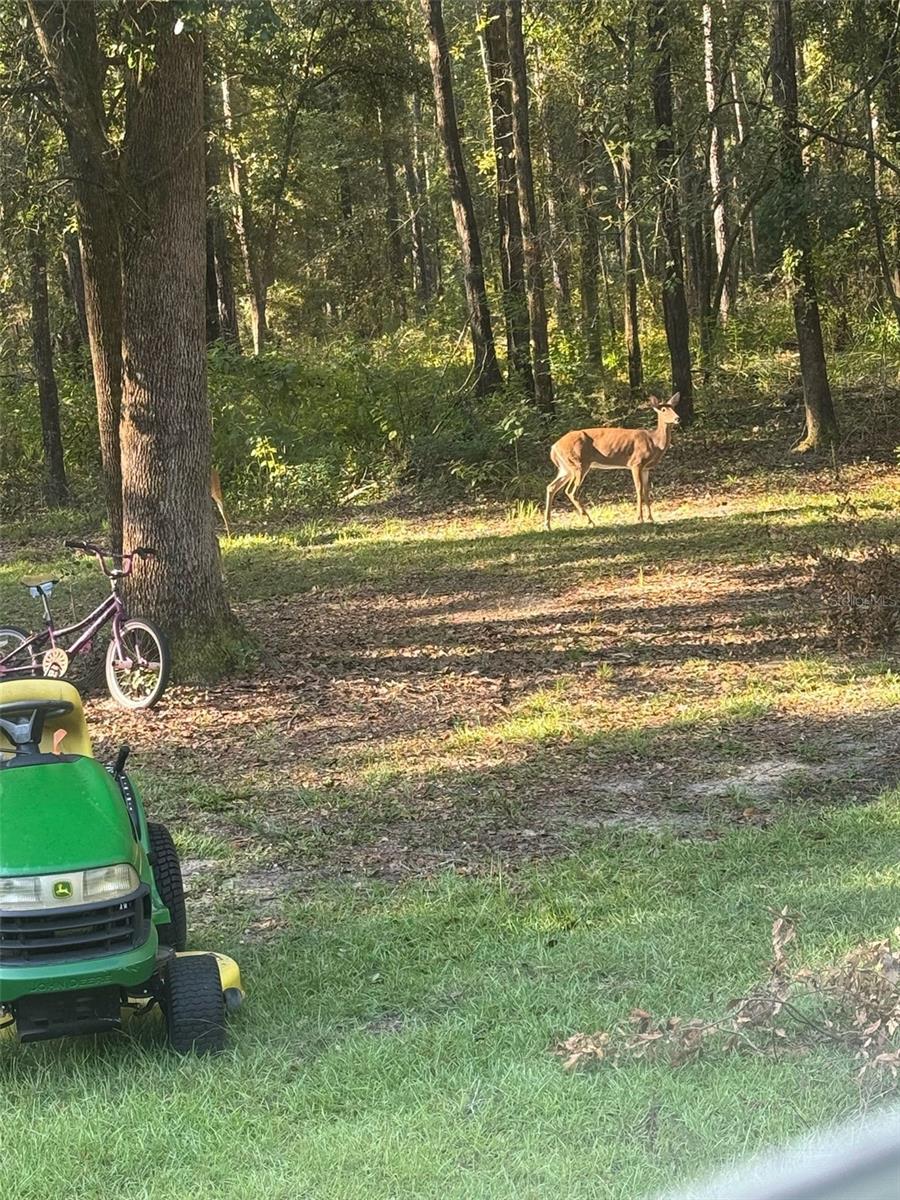 LAUREL FARMS - Residential