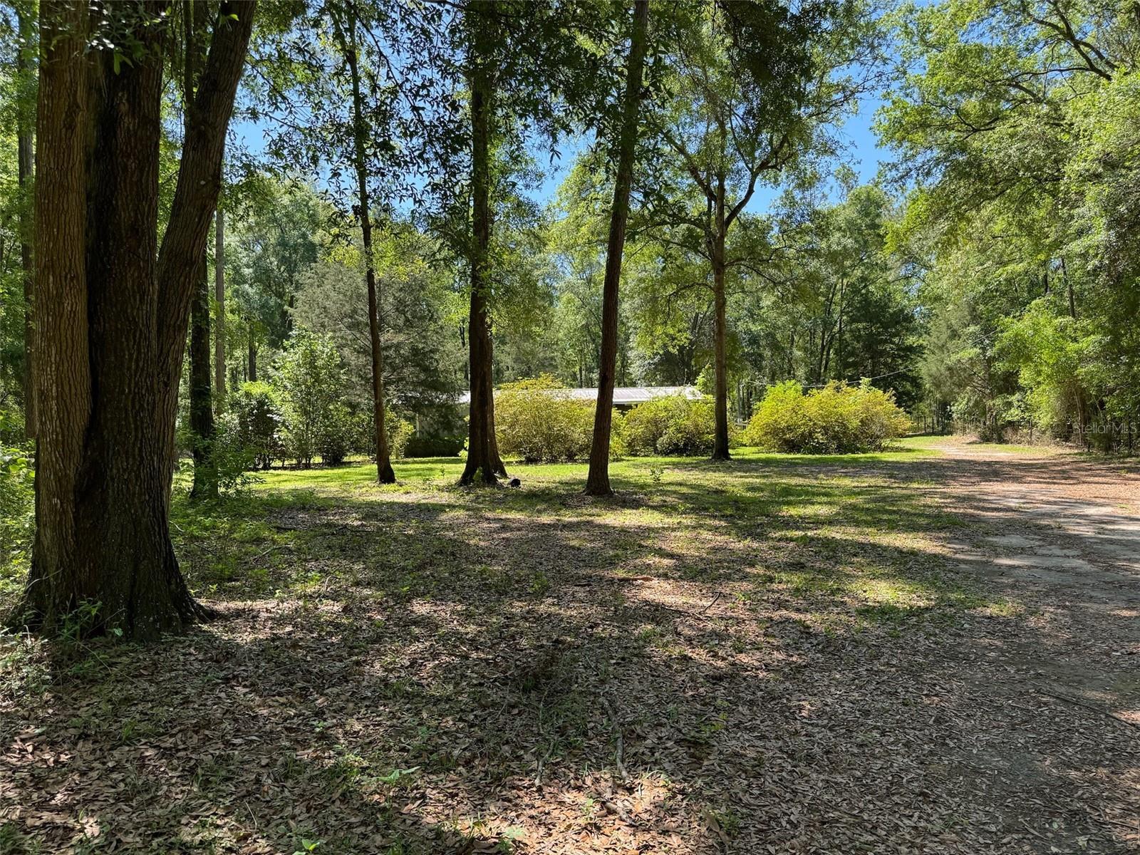 LAUREL FARMS - Residential