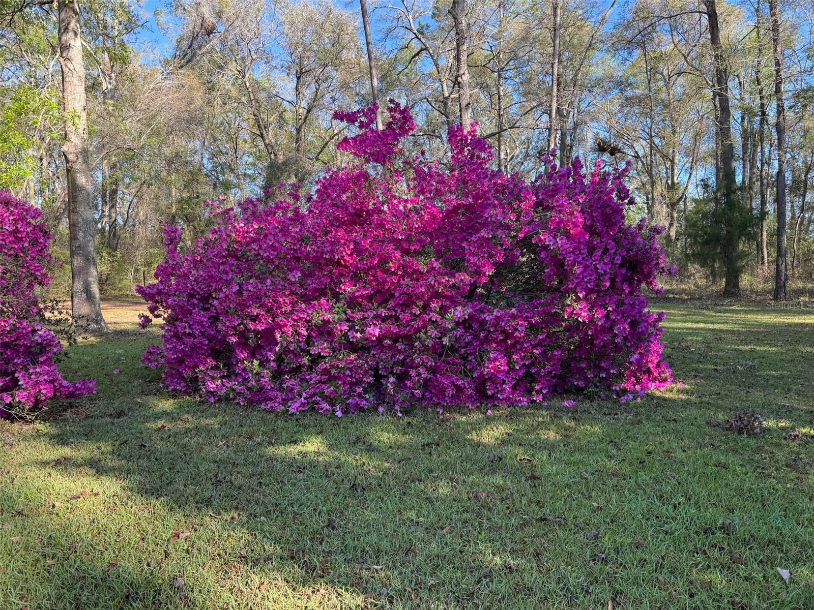 LAUREL FARMS - Residential