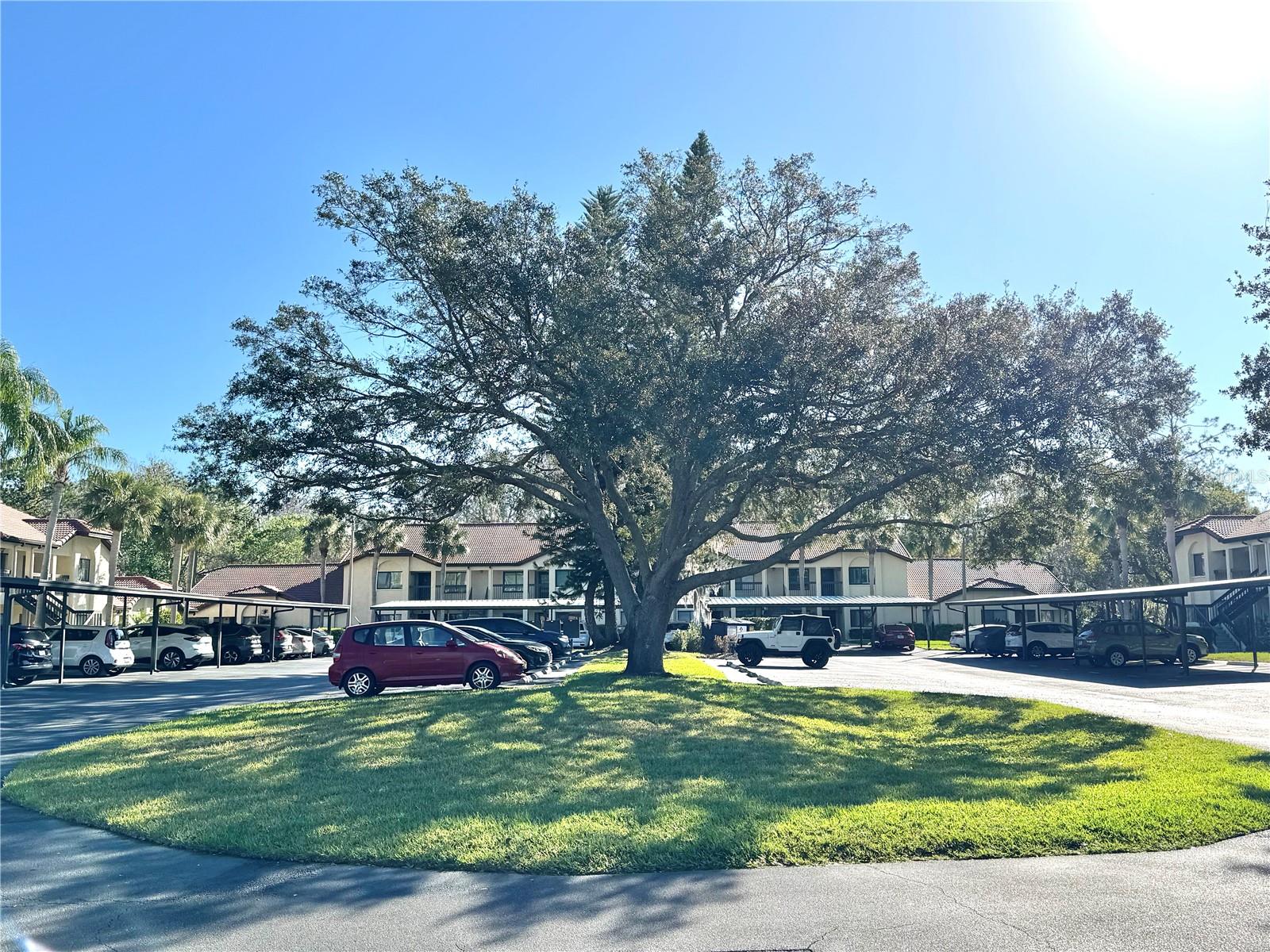 1801 E LAKE ROAD 6B
